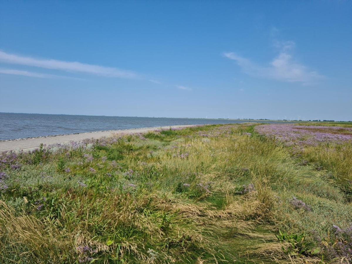 Ferienhaus Haus Seehund Direkt Hinterm Deich An Der Nordsee Schweiburg Екстер'єр фото